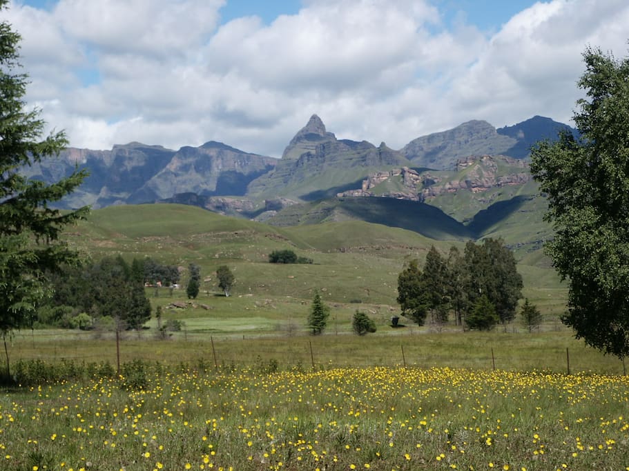 Garden view of Rhino Peak