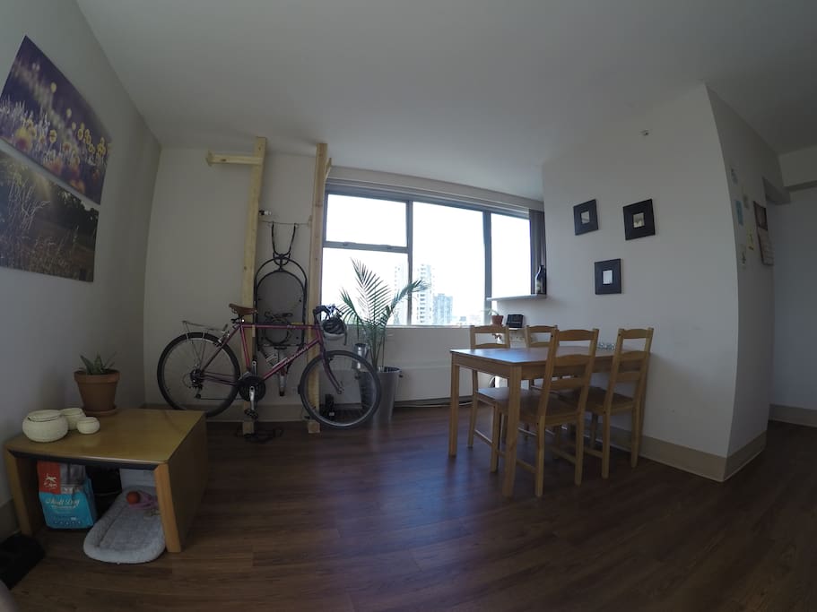 Dog Friendly Apartments For Rent Vancouver Bc Dog Friendly Apartments For Rent Vancouver Bc
