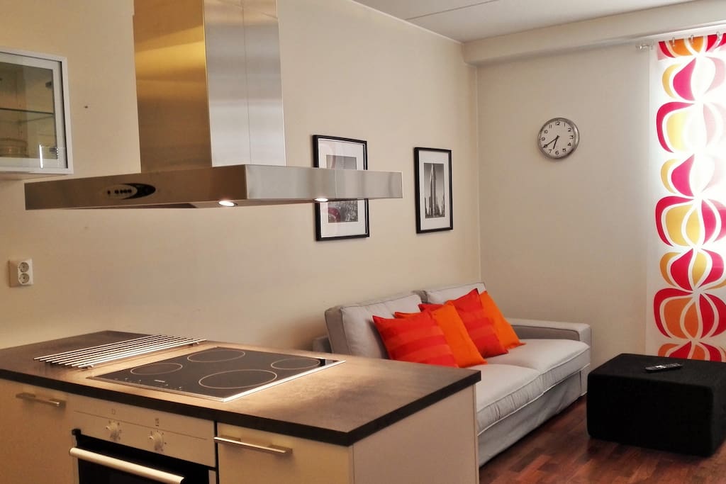 Simple Apartments For Rent In Oulu Finland with Luxury Interior Design