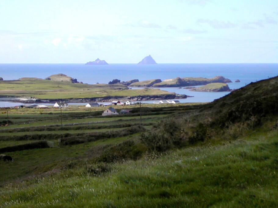 View from house