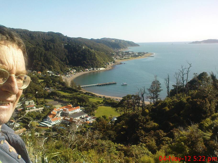 Eastbourne (NZ) seaside retreat ! Houses for Rent in Lower Hutt