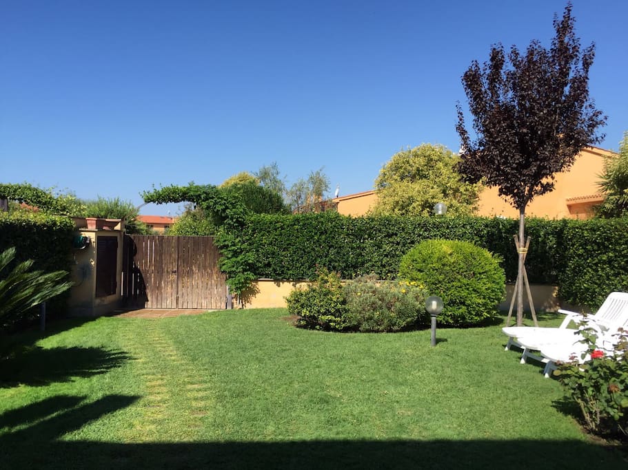 landscaped garden