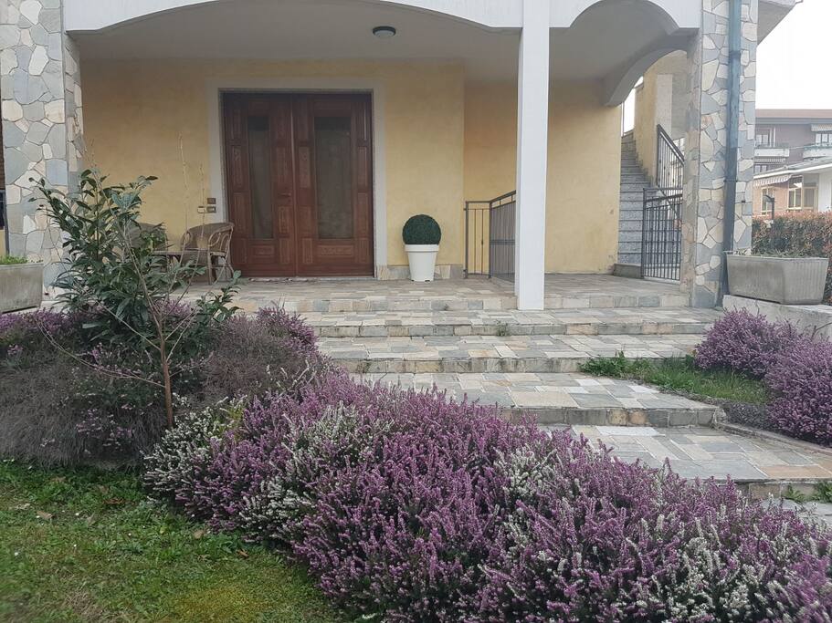 Ingresso