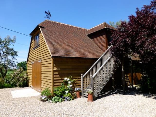 The Shed - A Studio on Romney Marsh