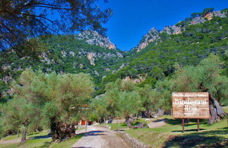 Authentic country manor house gallery image 4