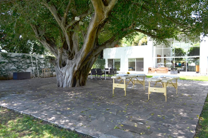 Casa del Árbol en el Chante Chapala Casas de campo en