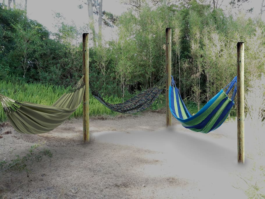 Amplio jardín con hamacas