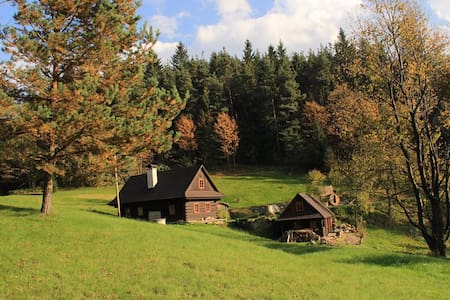 Klid na samotě u lesa