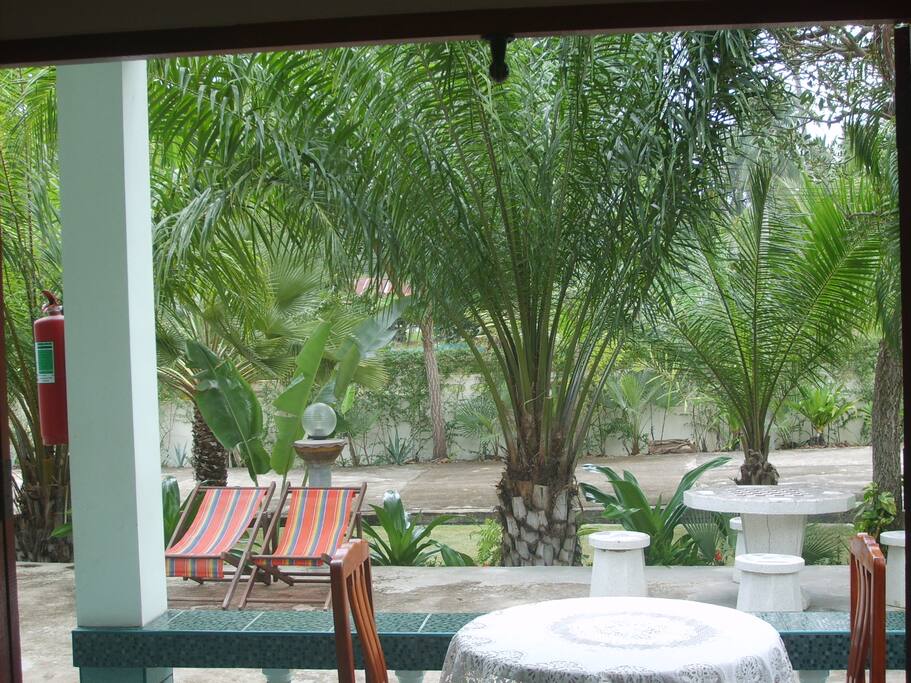 Blick von innen auf die Terrasse