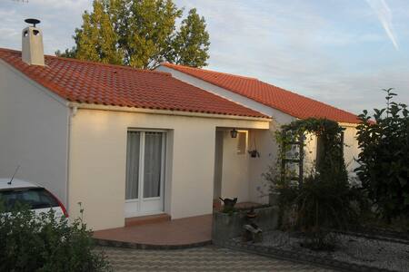 Entre mer, marais et forêt .