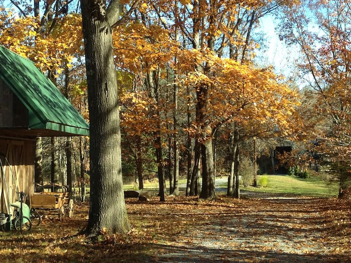 Pine Bush Vacation Rentals & Homes New York, United States Airbnb