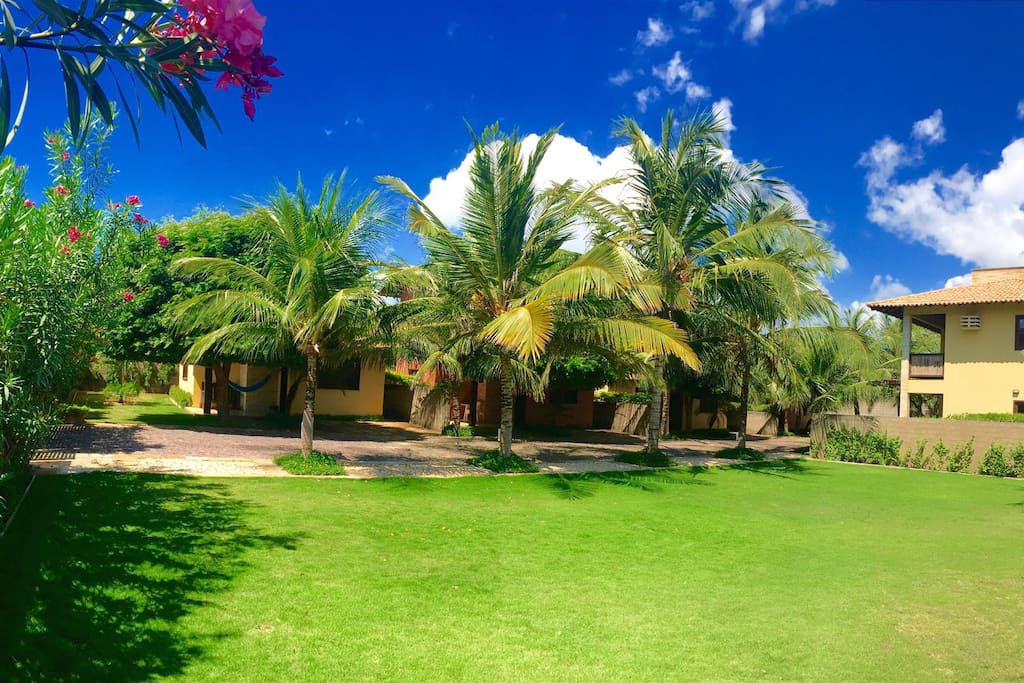 Do coqueiro 5. Do coqueiro 5. Do coqueiro 5. Do coqueiro 5. Транкозо бразилия.