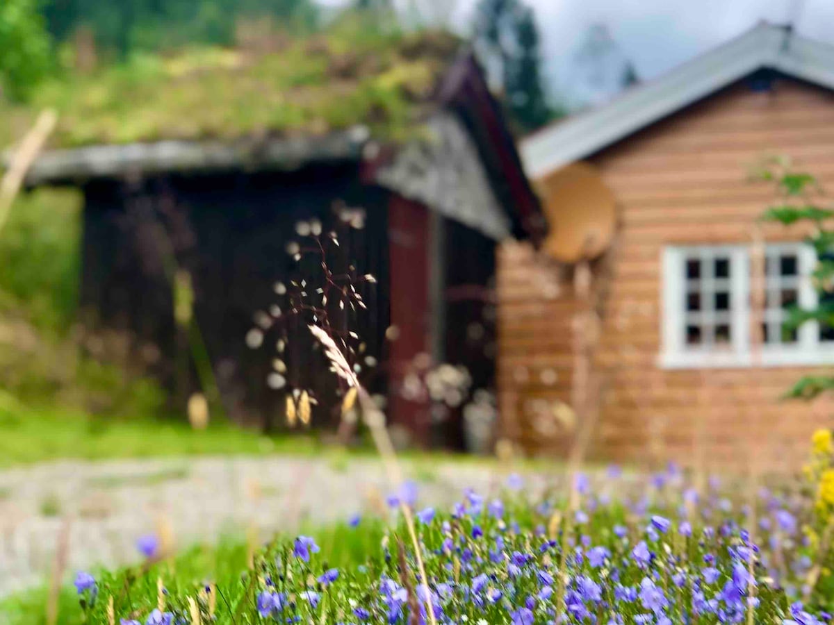 A view of a rustic wooden cabin, partially obscured by lush, vibrant greenery and blooming purple flowers in the foreground. The cabin features a green-topped roof and a wooden exterior with multiple windows. Natural surroundings contribute to a peaceful, rural atmosphere.