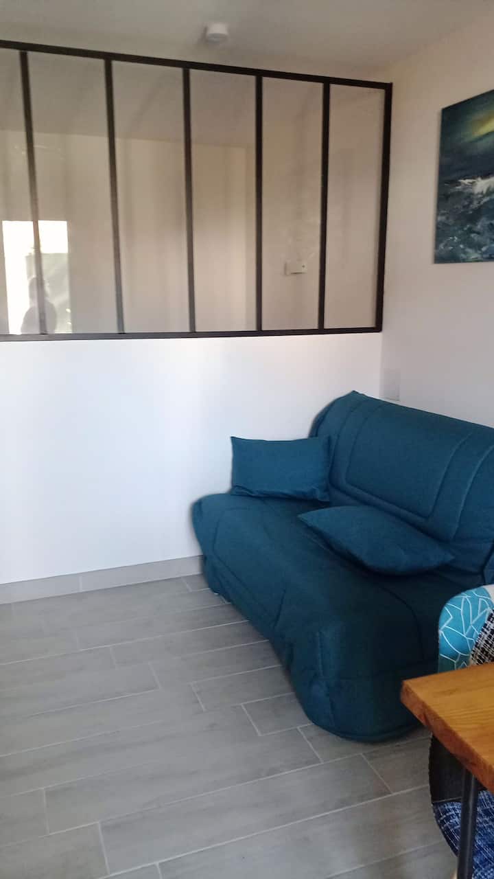 Agréable T1bis Avec Jardinet Privé. - Hossegor
