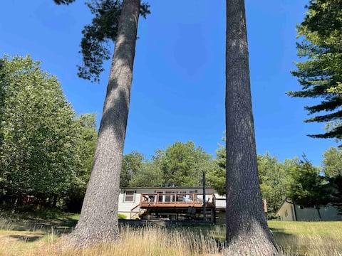 Wintergreen on Boom Lake
