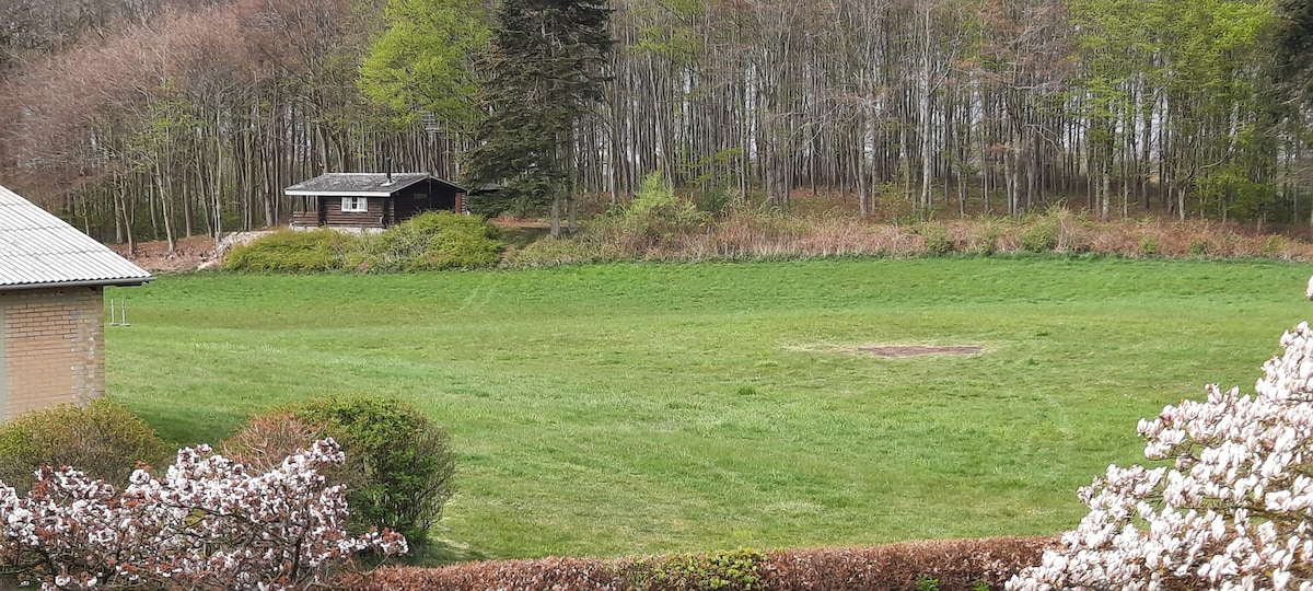 A tranquil natural landscape is presented, featuring a grassy field bordered by a forest of trees. In the distance, a small wooden cabin is nestled among the greenery. Flowering shrubs in the foreground add subtle color to the serene setting.