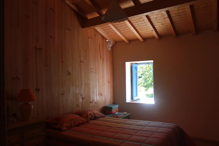 ห้องของฮิวโก้