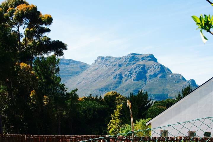 Family home in a forest setting. gallery image 2