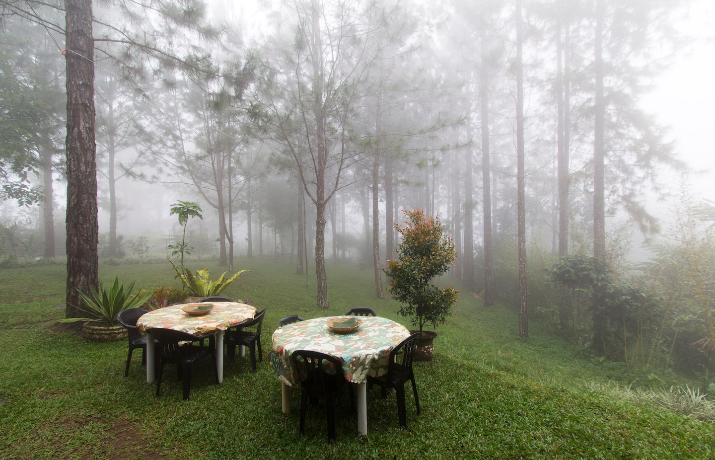 5 Cozy Airbnb in Buda [DavaoBukidnon] Escape Manila