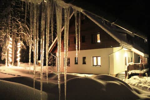 Forest house Tatra for 20, Tatranska Strba