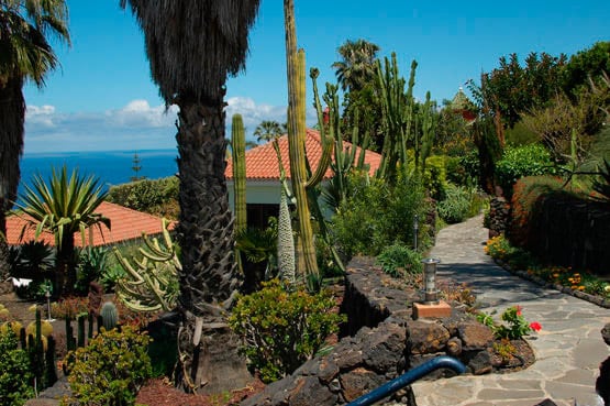 Lush greenery and a variety of cacti line a winding stone pathway leading through a tropical garden. The pathway connects to colorful flowering plants and leads toward a charming chalet with a terracotta roof, framed against a clear blue sky and the distant ocean.