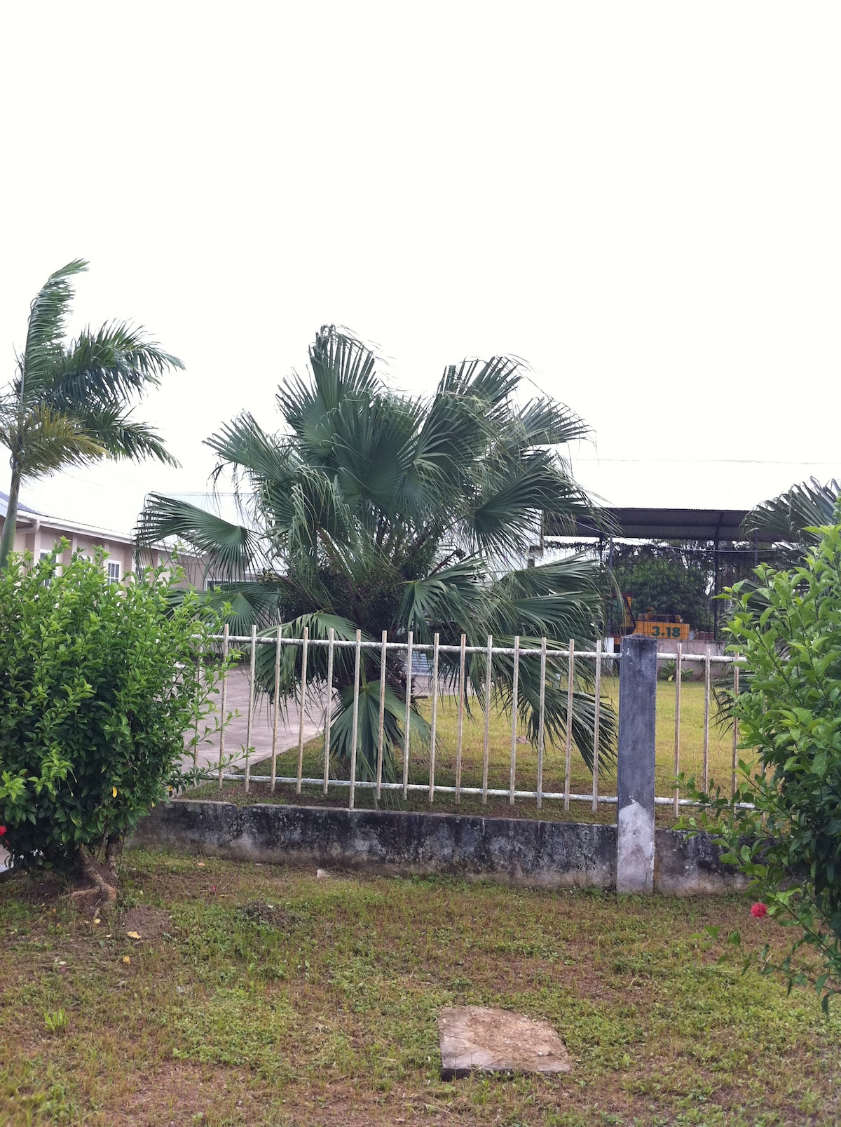 A neatly maintained garden is visible, featuring green shrubs and a palm tree behind a white picket fence. The area displays a well-kept grass expanse, with a gravel path leading into the distance. A building's roof can be seen beyond the fenced area.