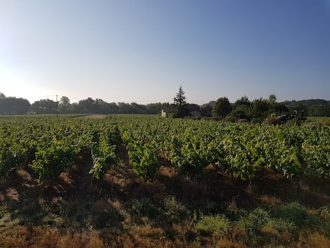 Au cœur du vignoble