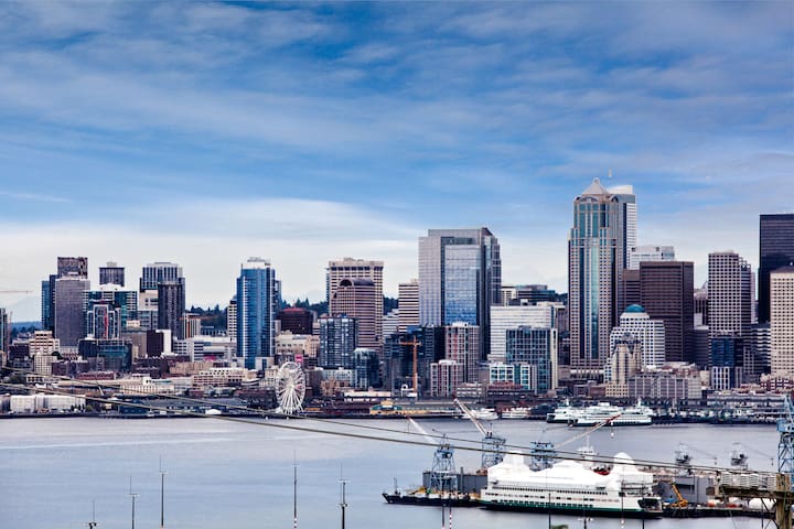 Flawless City and Mountains Views in West Seattle