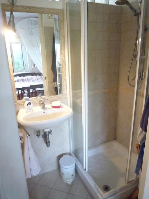 the bathroom with the shower - il bagno con doccia