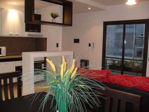 Top performing Airbnb: Capital Department (Official Dollar Price) in Ciudad De Mendoza