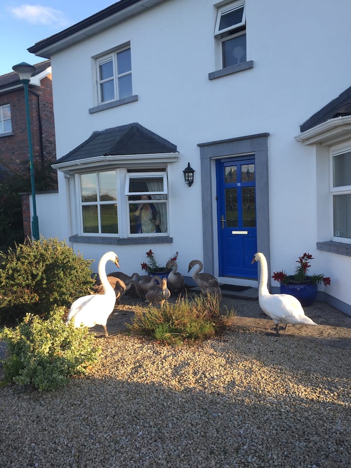 Portlaoise Vacation Rentals & Homes County Laois, Ireland Airbnb