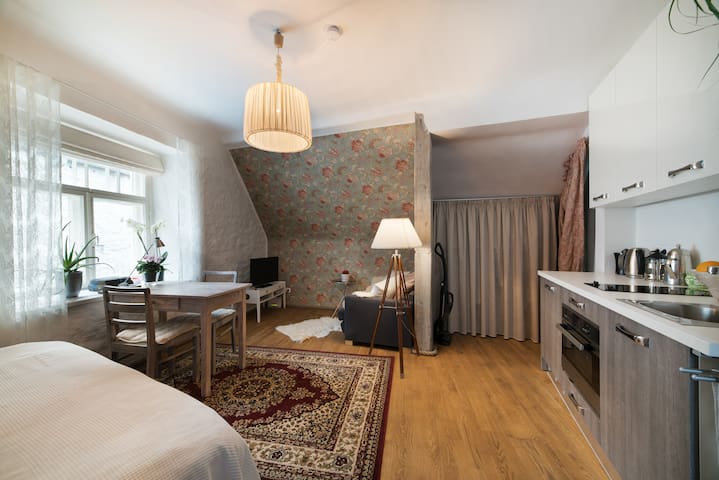 Cosy little penthouse in Old Town