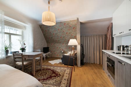 Cosy little penthouse in Old Town