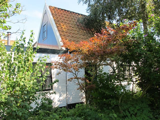 summer cottage on island of Texel