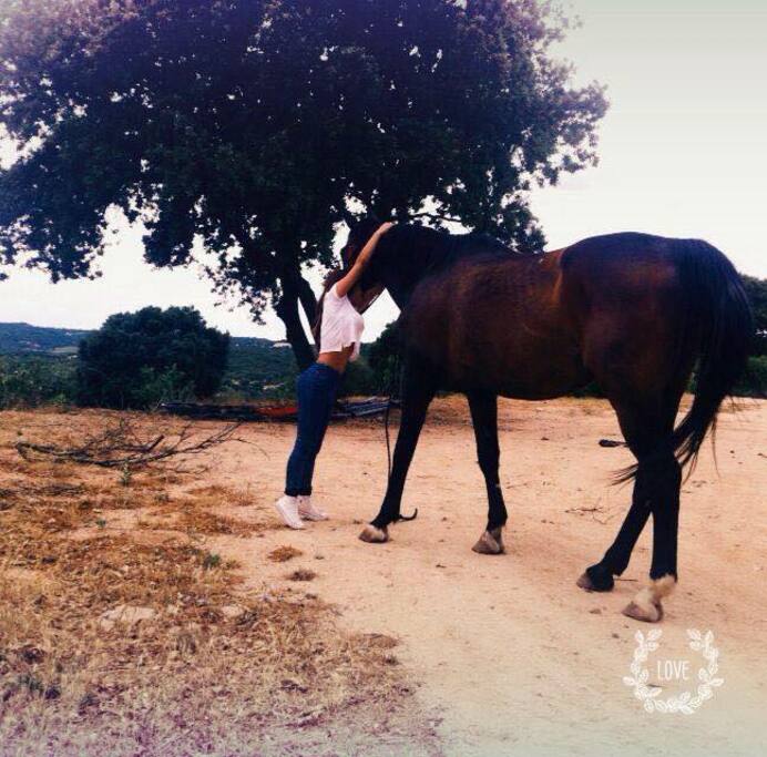nella nostra magnifica location potrai stare a contatto con la natura e provare la bellissima emozione di cavalcare un cavallo ....