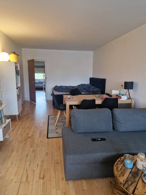 Apartment by the city center and water
