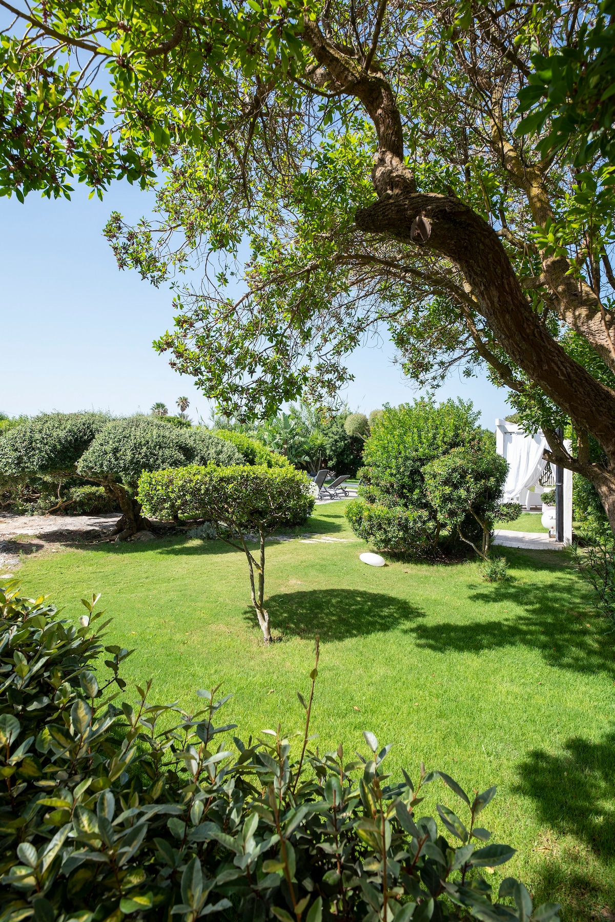 A lush green garden is visible, featuring well-maintained shrubs and a variety of trees. The grass appears freshly cut, creating an inviting outdoor space. Soft sunlight filters through the leaves, adding a warm ambiance to the serene surroundings.