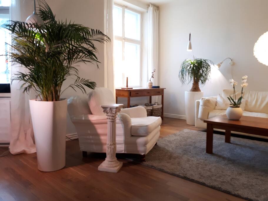 Plants clean the air. There are several robust ones to keep the air healthy, oxygenated and fresh.