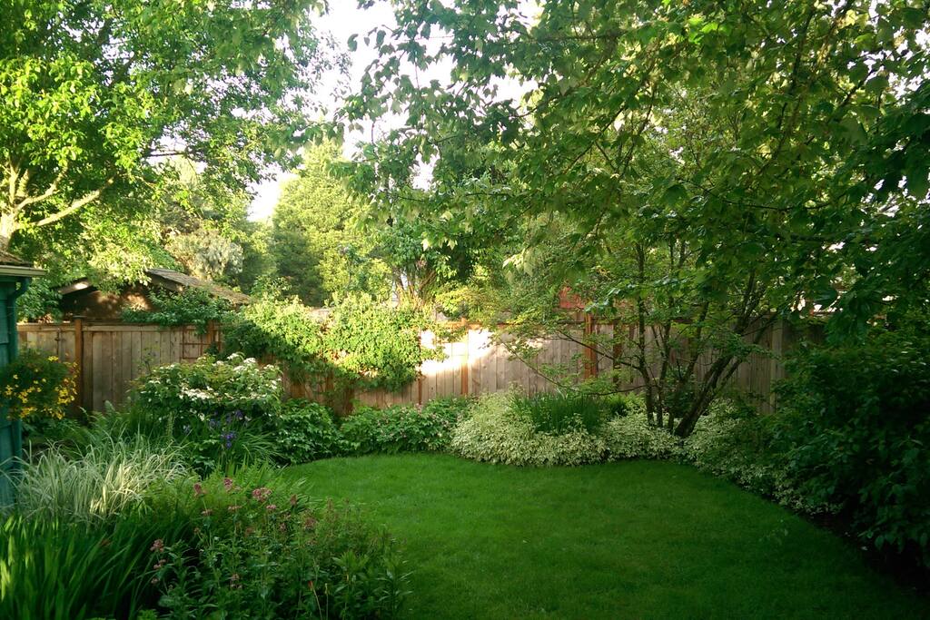 From the deck - Beautiful, private back yard in the summer.