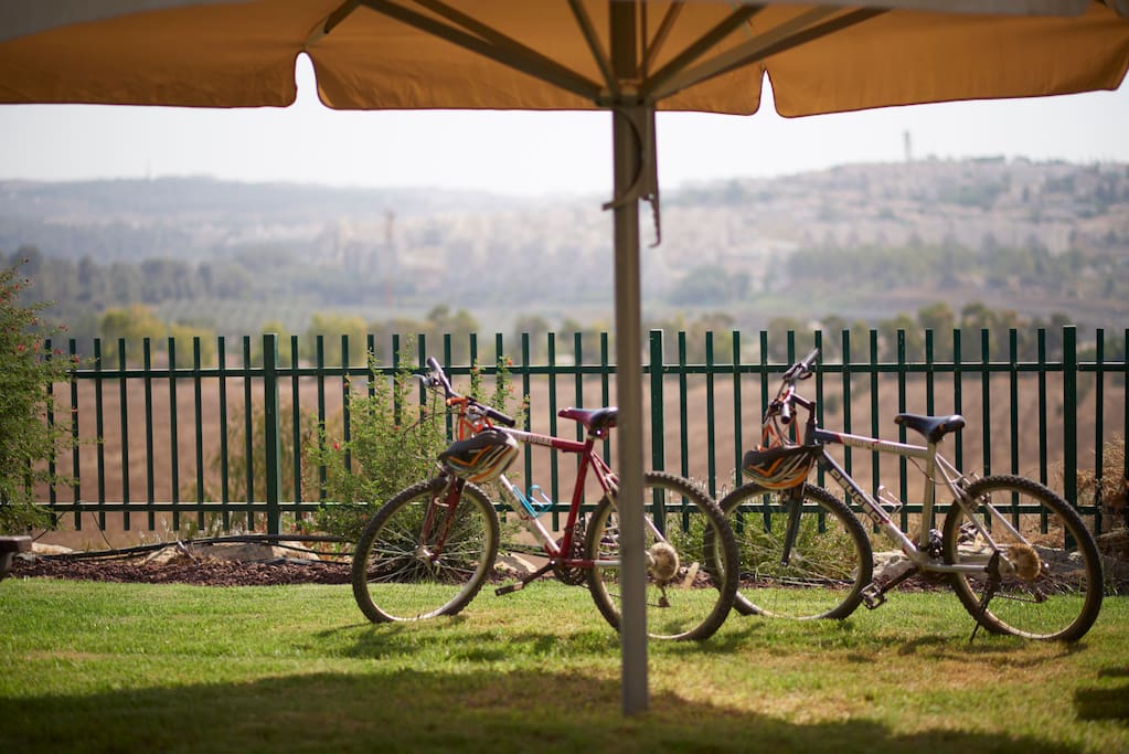 bikes for rent