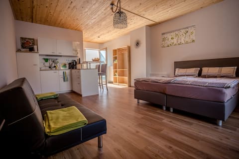 Successful Airbnb property: Cablecar view with terrace "cabin 11" in Rüdesheim Am Rhein