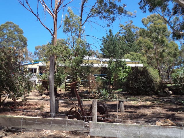 Where the gum trees are