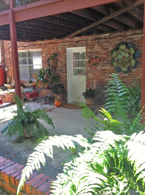 Lovely Apartment in the Deep South