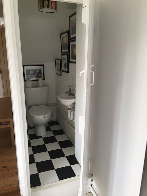 Downstairs toilet (under stairs)