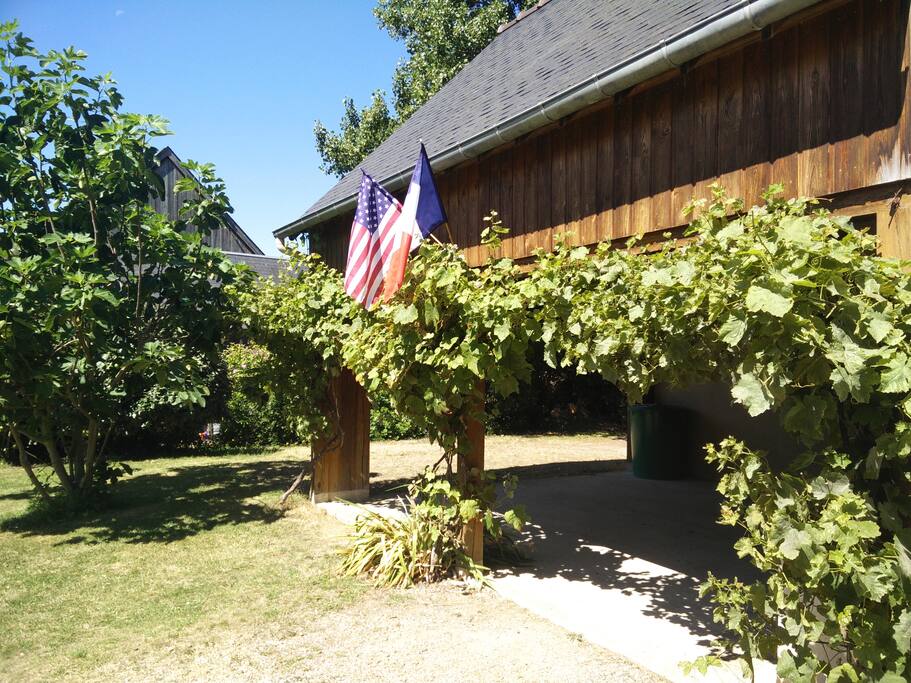 Le auvent, sur un cote duquel grimpent les vignes. A gauche, un grand figuier donnant de nombreux fruits.
Le drapeau américain que vous distinguez est un clin d'oeil a mon américain de mari ;-)