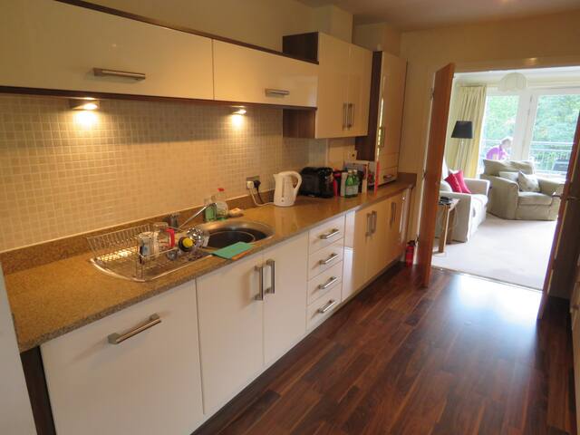 Modern Town-house in an historic Capital City. gallery image 5