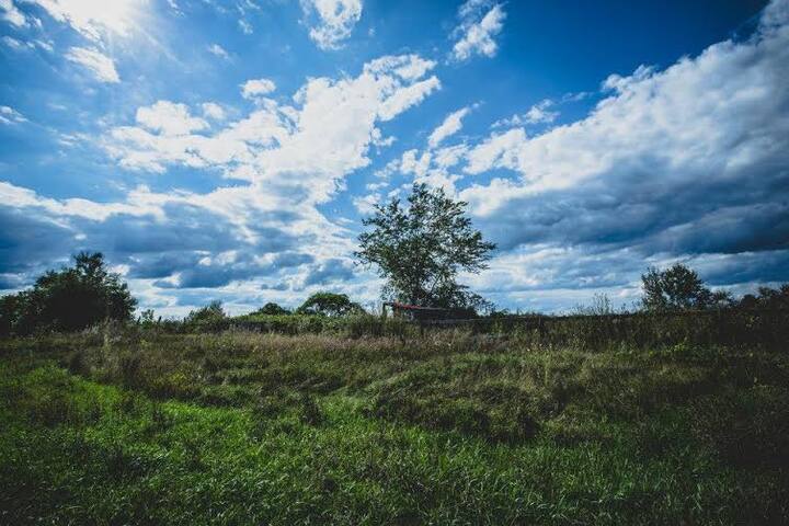 Charming House in West Ottawa gallery image 3