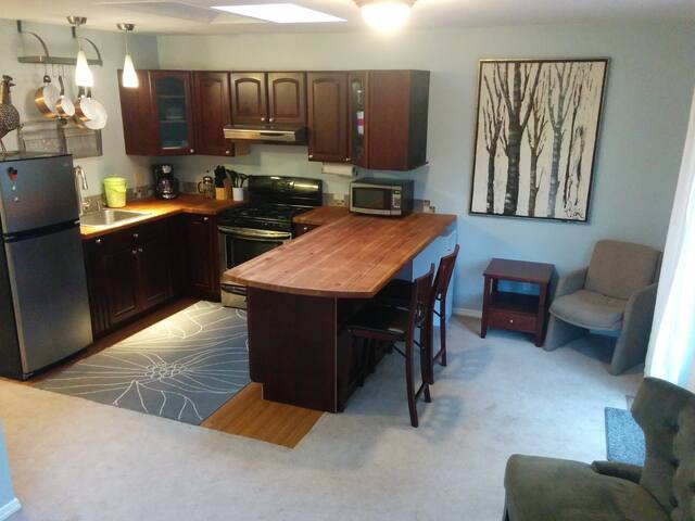 Airbnb Seattle Vacation Rentals Places To Stay