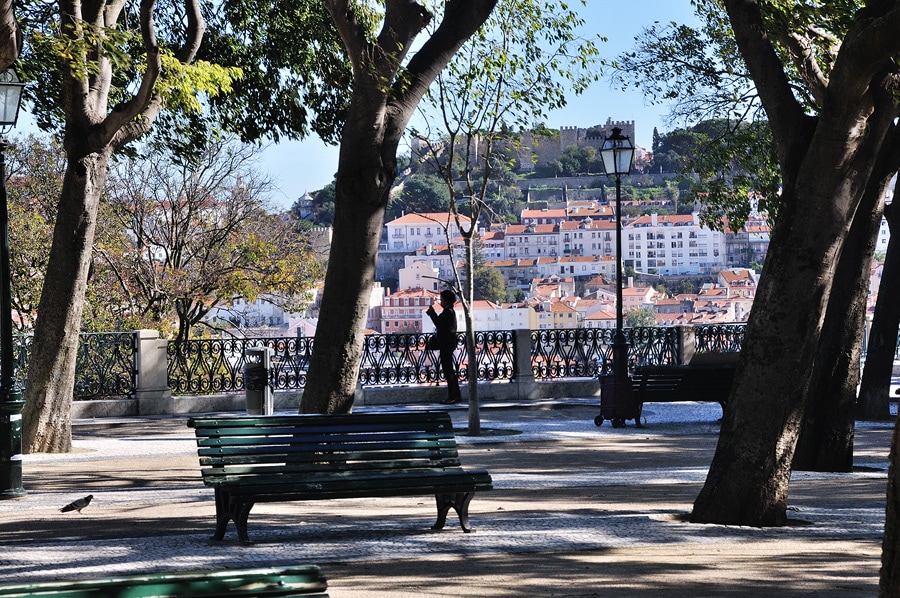 A spacious park area is displayed with green benches under tall trees. In the distance, a historic castle is visible atop a hill, while colorful residential buildings line the hillside, creating a charming backdrop. Soft sunlight filters through the branches, enhancing the serene atmosphere.