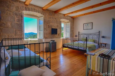 Popular Airbnb listing: Cozy Studio Apartment Blue National Park Mljet in Općina Mljet